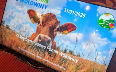 XI FORUM SEKTORA WOŁOWINY