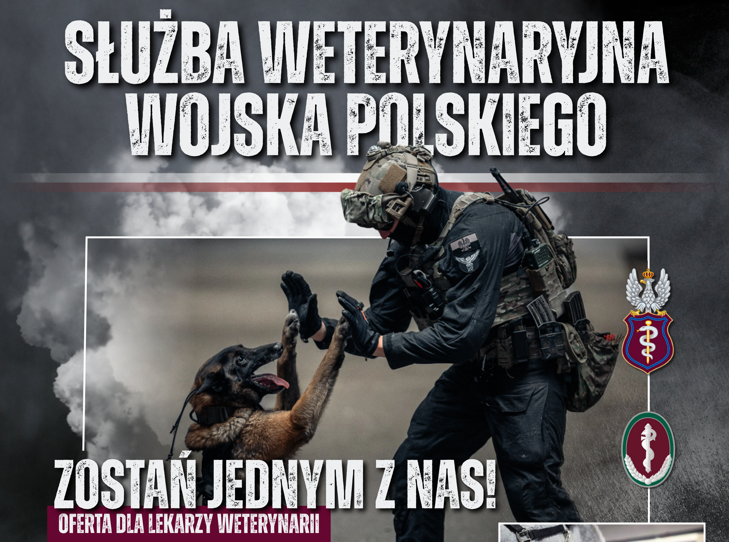 SŁUŻBA WETERYNARYJNA WOJSKA POLSKIEGO – OFERTA DLA LEKARZY WETERYNARII