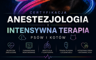 NABÓR NA SZKOLENIE CERTYFIKOWANE – ANESTEZJOLOGIA I INTENSYWANA TERAPIA PSÓW I KOTÓW
