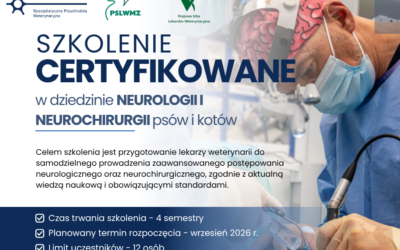 NABÓR NA SZKOLENIE CERTYFIKOWANE – NEUROLOGIA I NEUROCHIRURGIA PSÓW I KOTÓW – NABÓR ZAKOŃCZONY